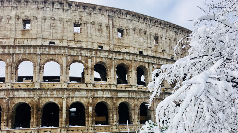 Rome's Colosseum in winter with snow on a tree