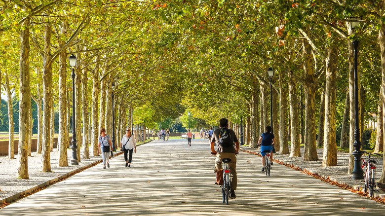 People biking along Lucca city walls in Italy