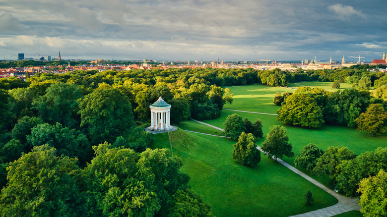 Aerial view of a lush park