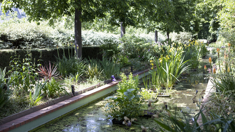 Lush gardens paris Promenade Plantée