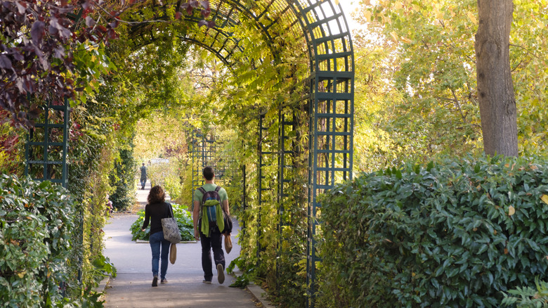 Promenade Plantée green archway paris