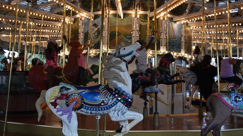 White horse on carousel ride