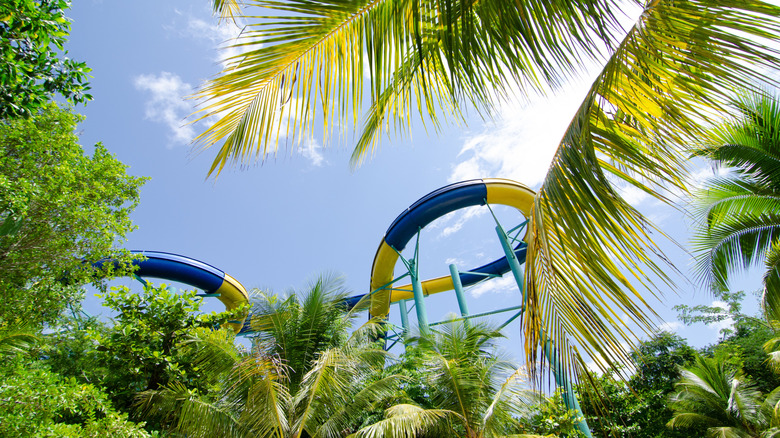 ESCAPE Penang waterslide and trees