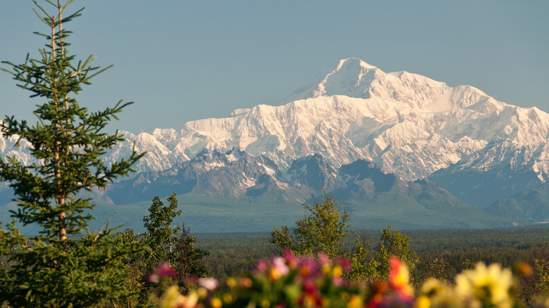 Snowy mountains as seen from Talkeetna