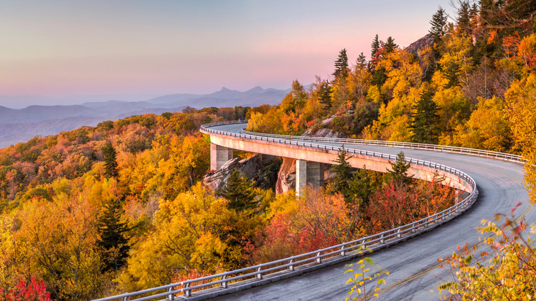 Fall foliage along the Blue Ridge Parkway