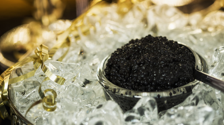 caviar ice silver serving platter