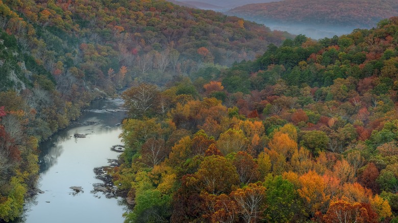 Fall foliage of Ozark mountains in Missouri