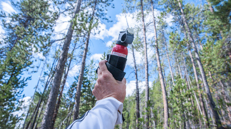Holding bear spray in the woods