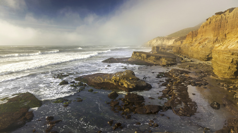 tidepools at cabrillo national monument