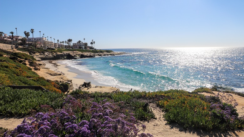 la jolla coastline with beach and cliffs