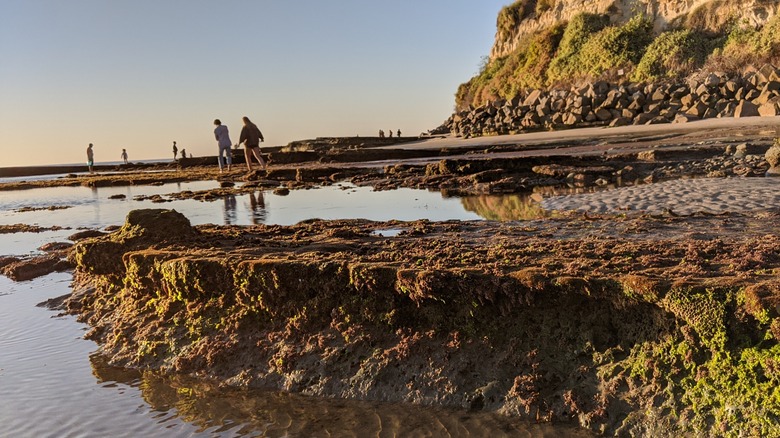 tide pools at Swami's in encinitas