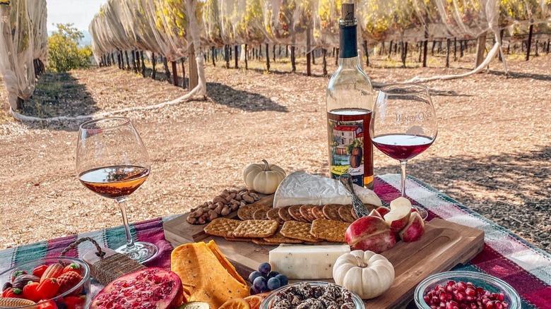 Charcuterie board with wine at Windy Oaks Winery in Corralitos, California