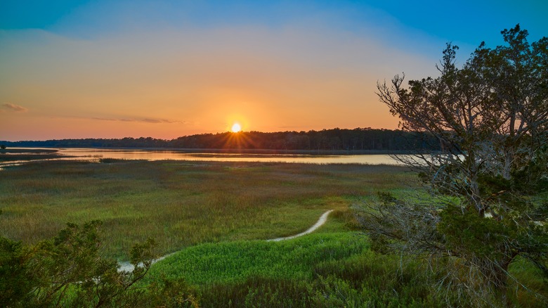 sunset over skidaway island marsh in Georgia