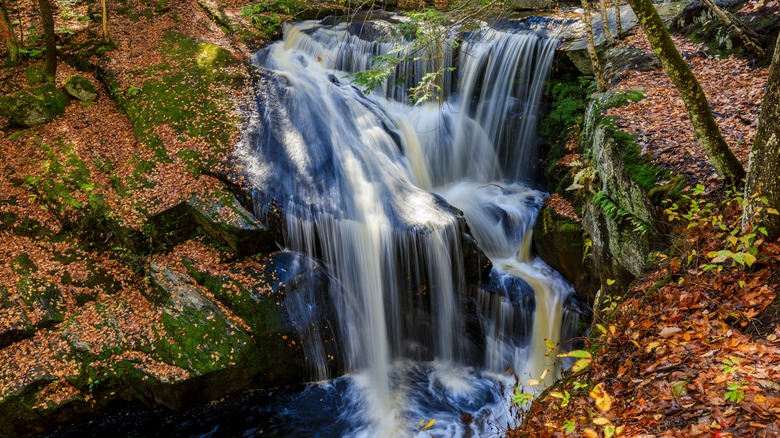 Enders Falls waterfall in Connecticut