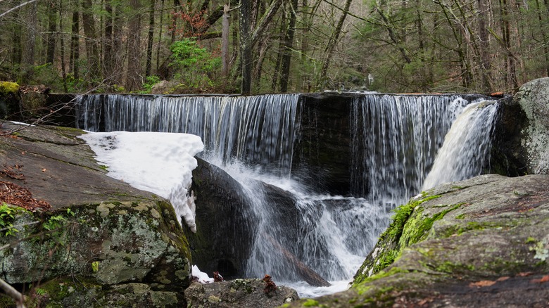 Waterfall in Enders State Forest, Connecticut