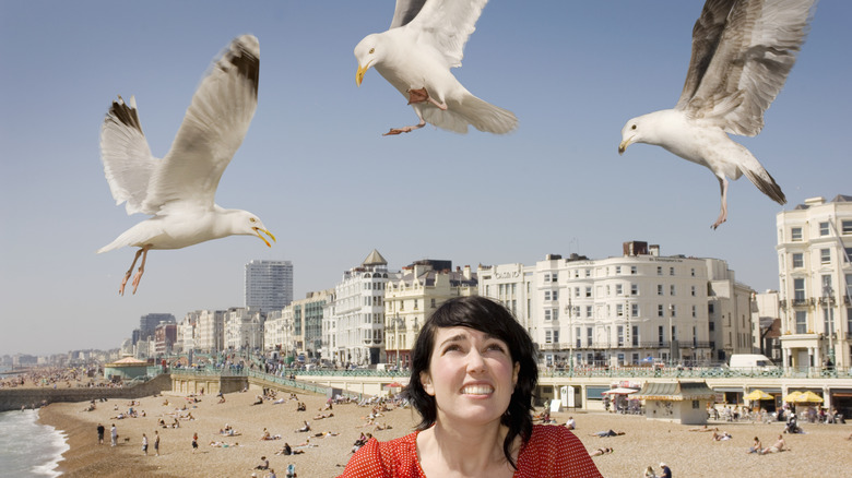 woman looking at seagulls flying over