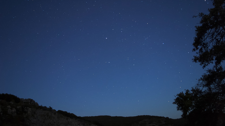 Starry night sky with some trees in San Luis Valley