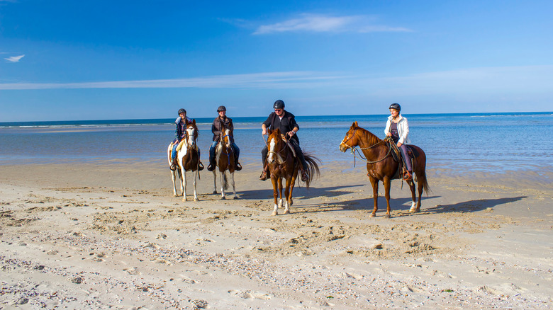 People riding horseback along the beaches in Zeeland, Netherlands