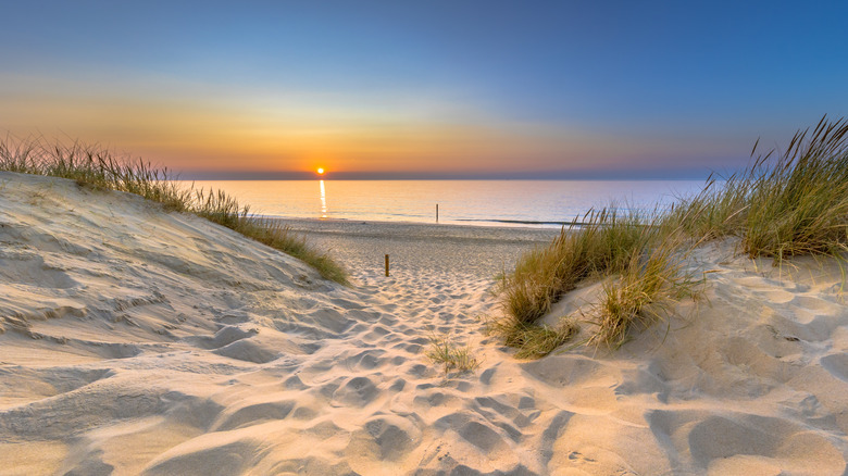 Sunset view from the dunes in Zeeland Province