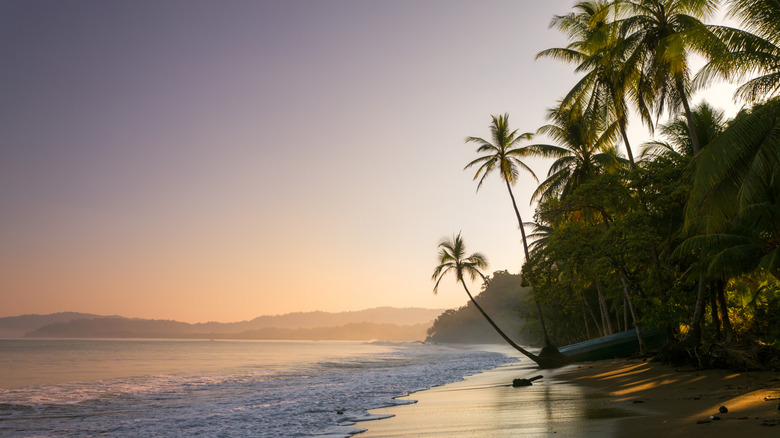 Beach with calm waters and palm trees in Costa Rica