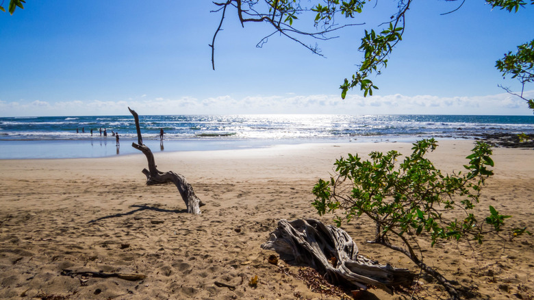 Playa Avellanas beach, Costa Rica