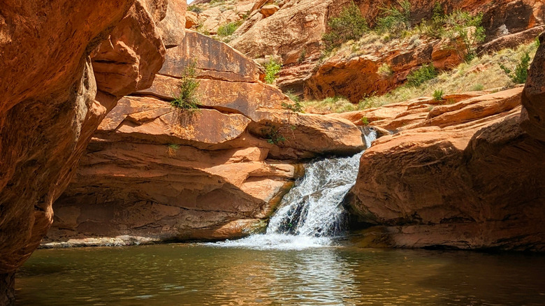 Swimming hole in Utah