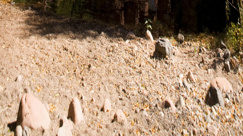 Parsons Spring swimming hole