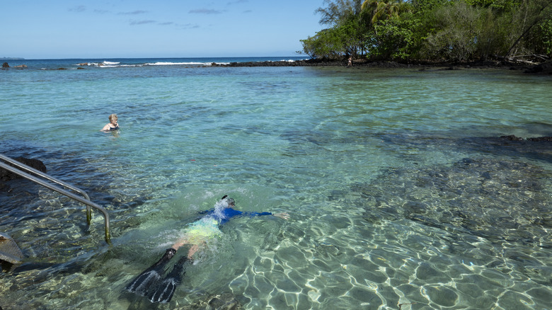 Snorkeling in Hilo, Hawaii