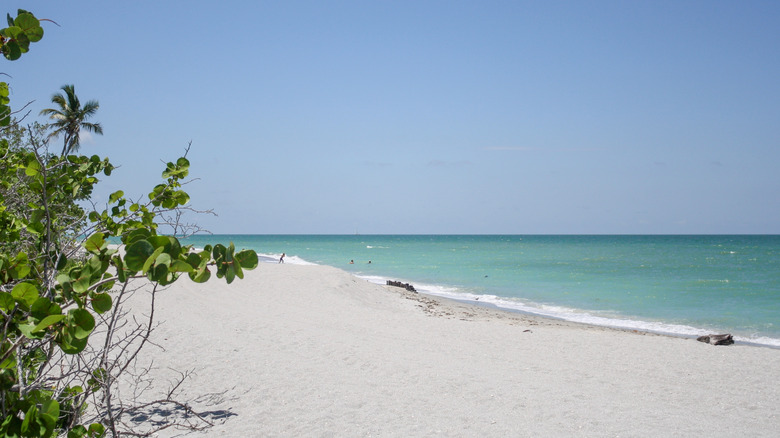 A beautiful day on Sanibel Island