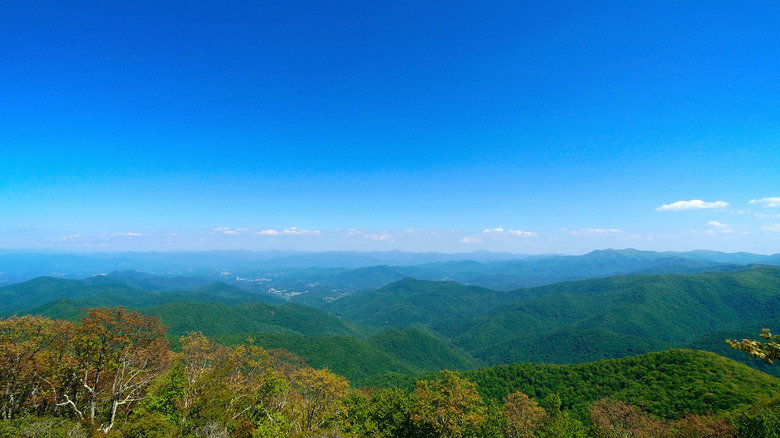 Appalachian Mountain view from Wayah Bald