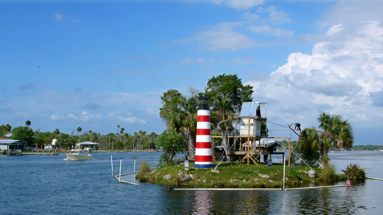 Homosassa monkey island Florida