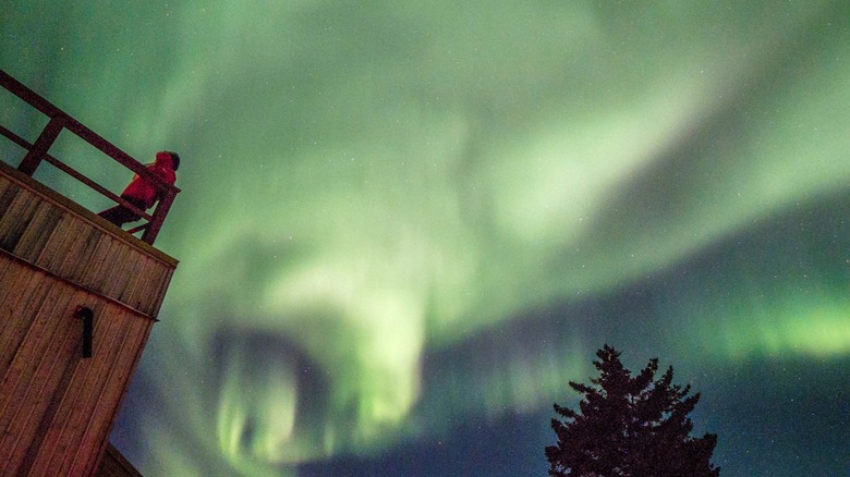 Outdoor viewing deck of Nanuk Polar Bear Lodge with yellow northern lights