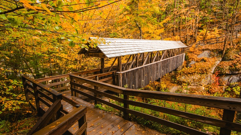 Sentinel Pine Bridge in Flume Gorge