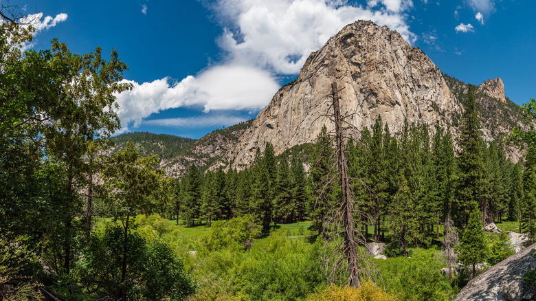 Zumwalt Meadow and North Dome at Kings Canyon National Park, California