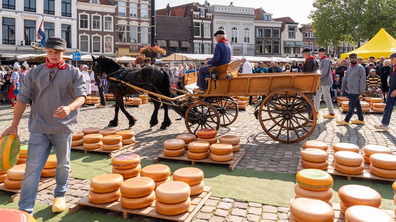 Gouda cheese market horse and horse-drawn carriage in a plaza