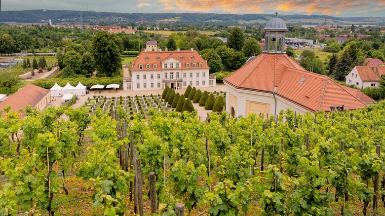 The Wackerbarth Castle and winery in Saxony, Germany