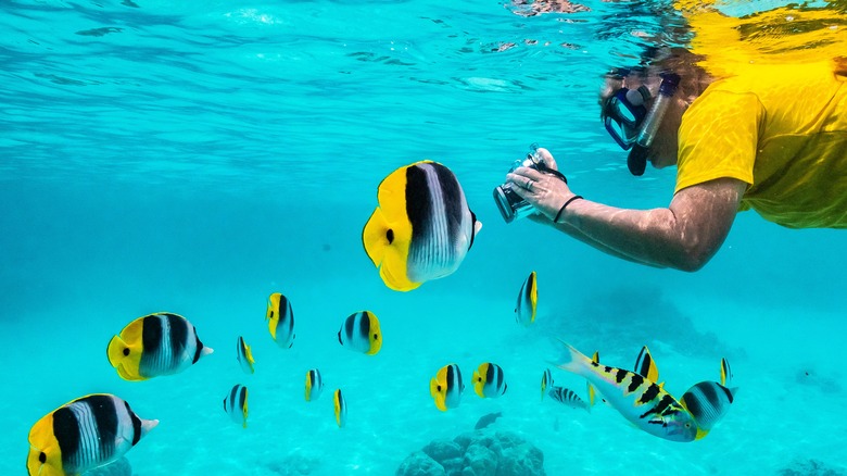 Snorkeler with underwater camera