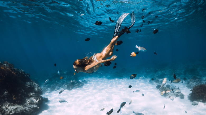 Snorkeler diving under the surface