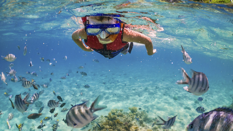 Someone snorkeling in mask