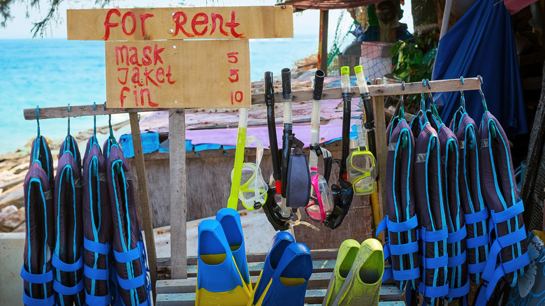 Snorkel gear rental spot