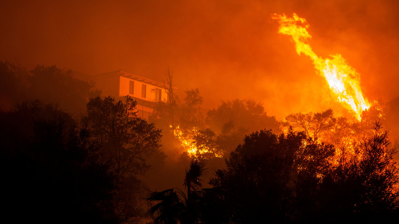 Fire in Palisades near Los Angeles climbing up a mountain towards a home