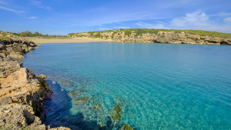 Waters of Calamosche beach