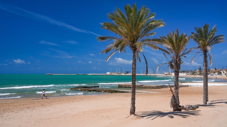 A beach in Sicily