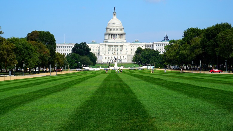 Lawn by US Capitol