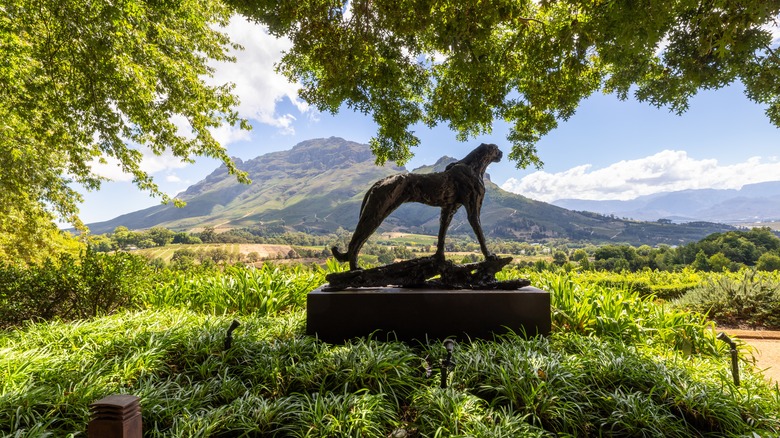 Delaire Graff Wine Estate in the Cape Winelands, South Africa