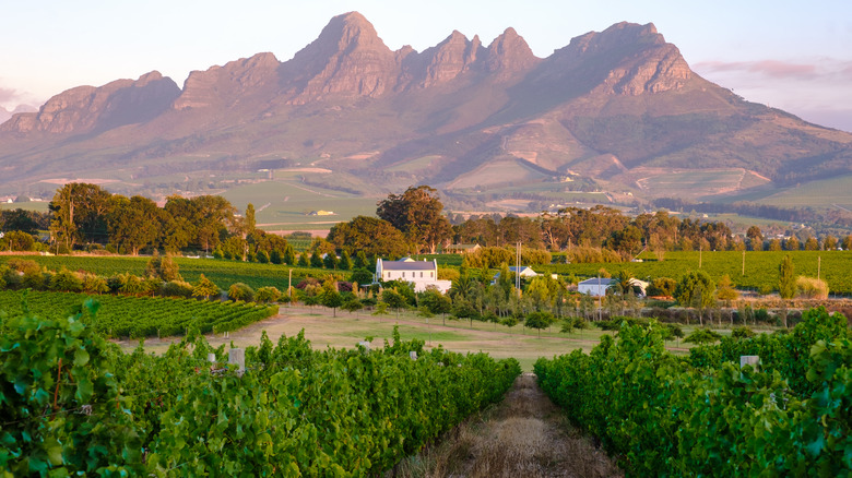 Stellenbosch mountains in South Africa