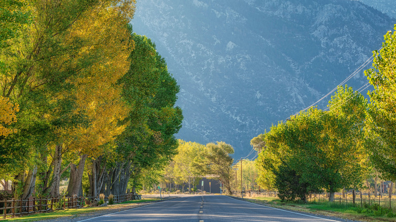 Gardnerville, Nevada