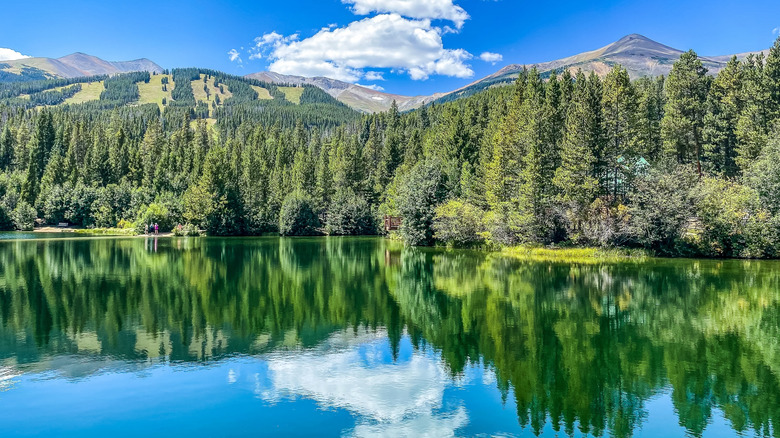 Sawmill Reservoir in the summer.