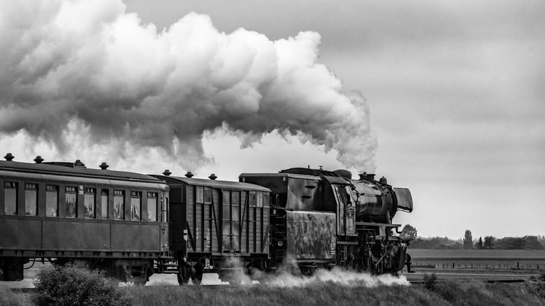 Black and white train