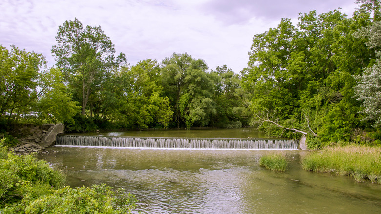 View of waterfall in Batavia region